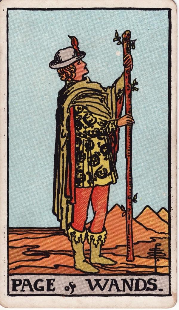 Page of Wands, from the 1909 Rider-Waite-Smith deck